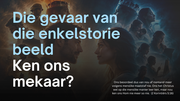 Die gevaar van die enkel storiebeeld