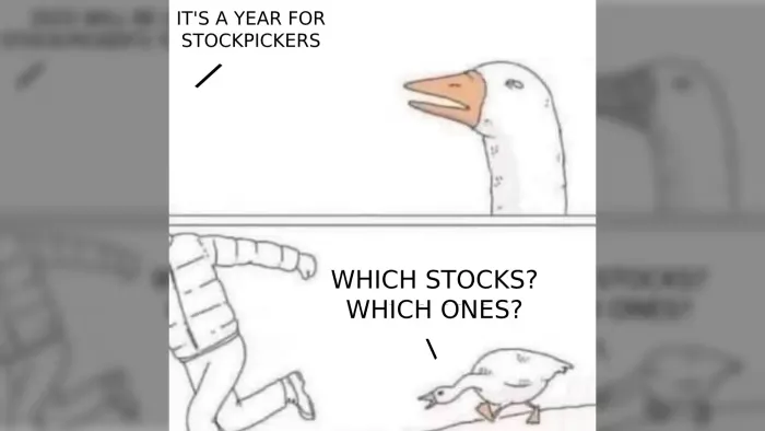 How to Use Motu to Find Stocks