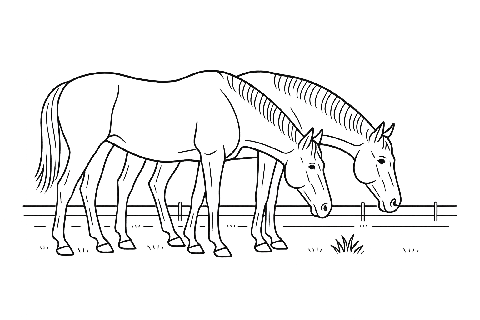 Line illustration of two horses standing shoulder-to-shoulder in an open pasture, muzzles nearly touching