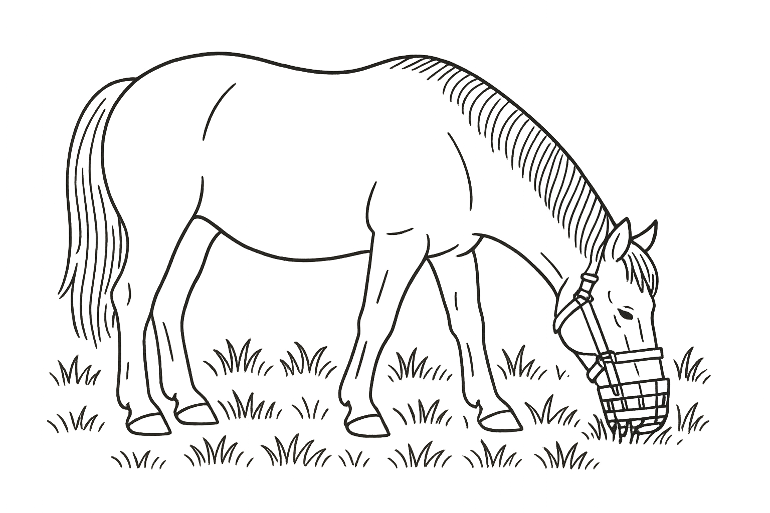 Line illustration of a stocky horse wearing a grazing muzzle while grazing in a summer pasture