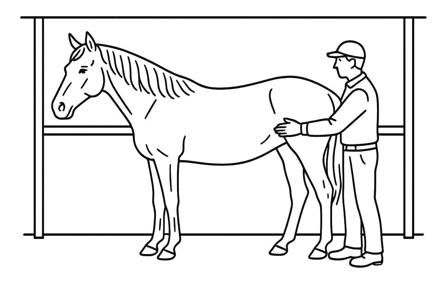 Line illustration of a broodmare being examined stall-side by a handler