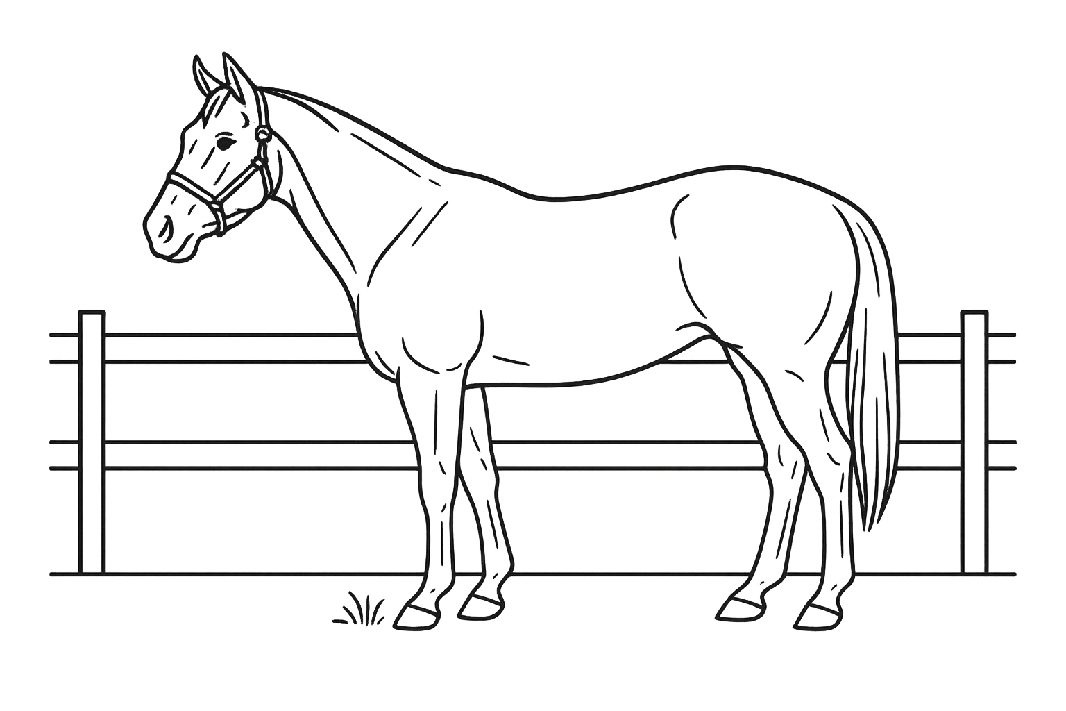 Line illustration of a single Quarter Horse standing calmly inside a paddock in side profile