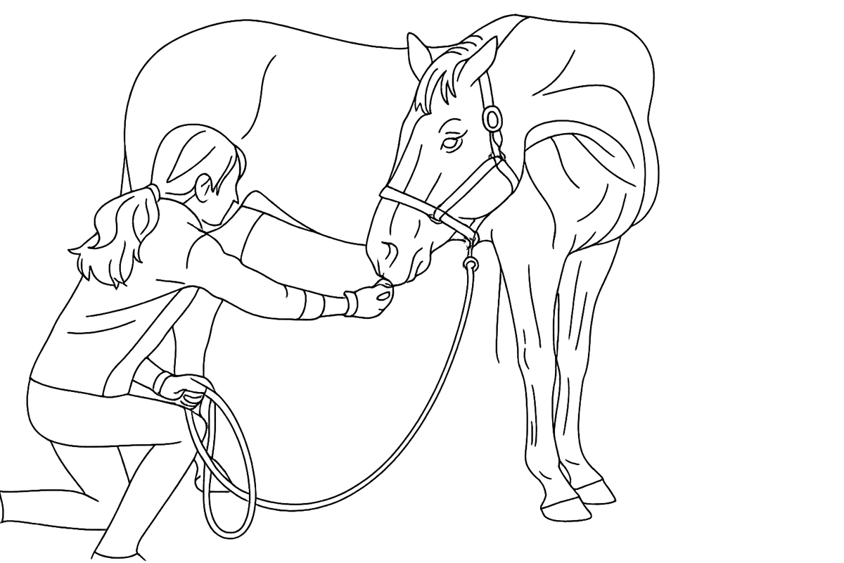 Line illustration of a horse performing a lateral carrot stretch with handler offering a treat at girth level