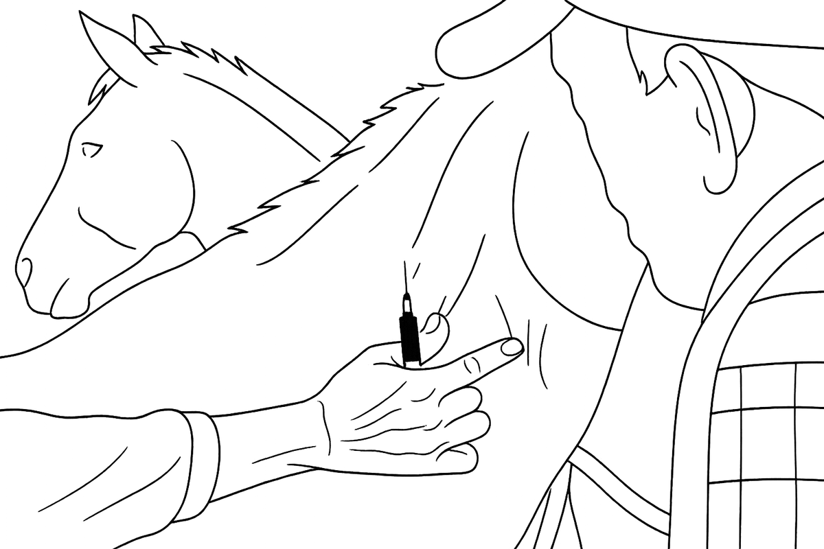 Line illustration of a hand with a syringe near a horse's neck