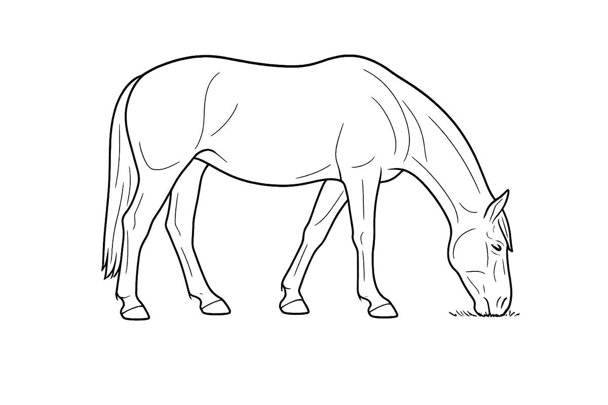 Line illustration of a horse grazing in pasture