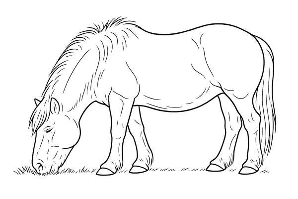 Line illustration of a cresty-necked pony grazing
