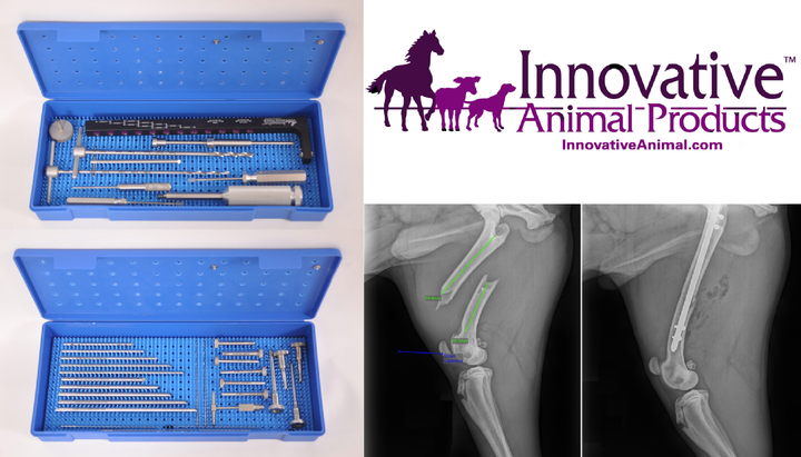 Veterinary Orthopedic Fracture Fixation