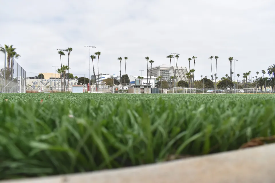 snail's eye view of artificial turf