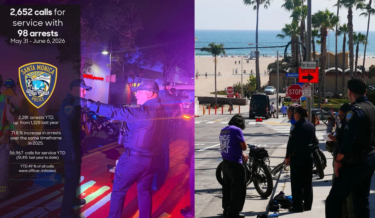police arrests
