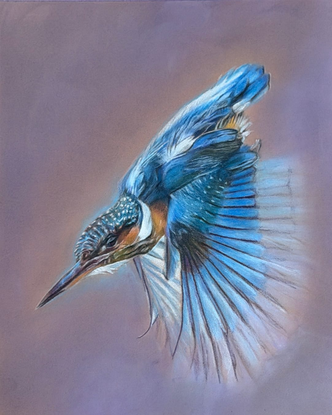 COVER---Kingfisher-in-Flight.jpg