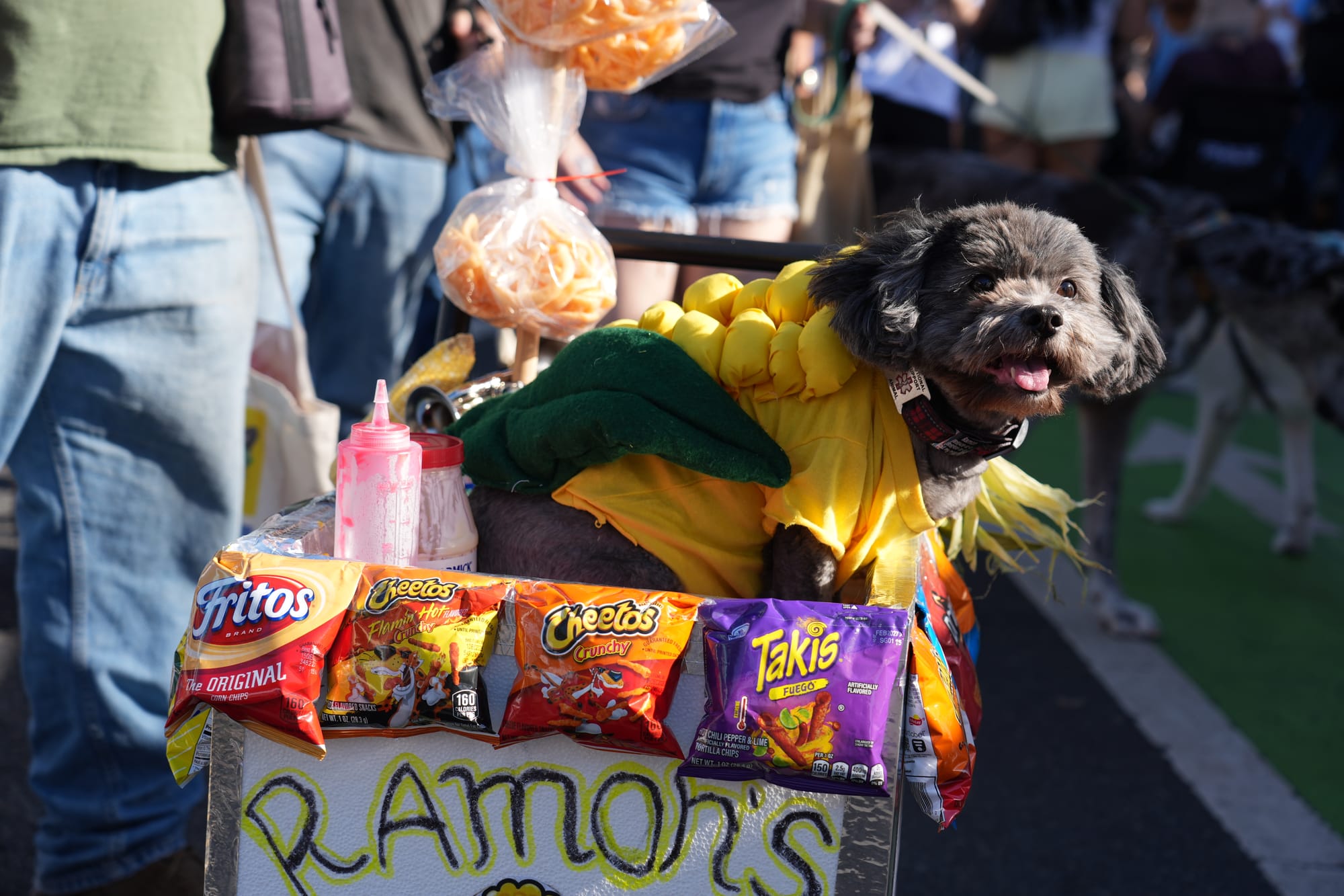 Dog dressed as corn in an elote cart