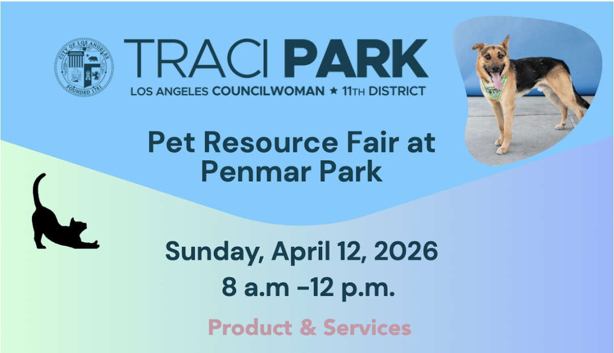 Around Town: Gallery Openings, Pet Fairs, and Bagel Fest!