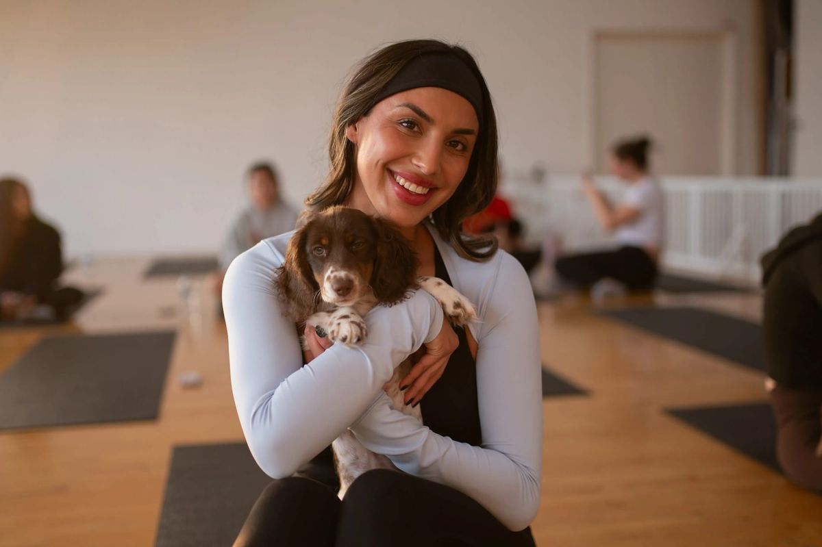 Puppy Yoga Studio Reopens in Santa Monica This July