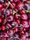 Display of fresh red cherries and seasonal produce at Santa Monica farmers market stand