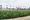 Santa Monica elementary school field or campus renovation area related to turf replacement discussion