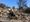 Santa Monica emergency operations during response to January 2025 Palisades Fire