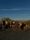 Peak Health fitness class at Santa Monica beach or rooftop location showing outdoor wellness activity with participants