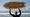 Professional surfer Jack Johnson holds a surfboard made from 10,000 recycled cigarette butts, a project with Santa Monica roots aimed at ocean activism