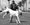 Joel Zucker:Dog’s best friend