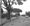 Lawyers make closing arguments in case of tumbling tree