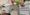 Campaign finance data and election materials related to Santa Monica City Council race, November 2026