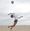 Beach volleyball: Samohi girls advance with upset