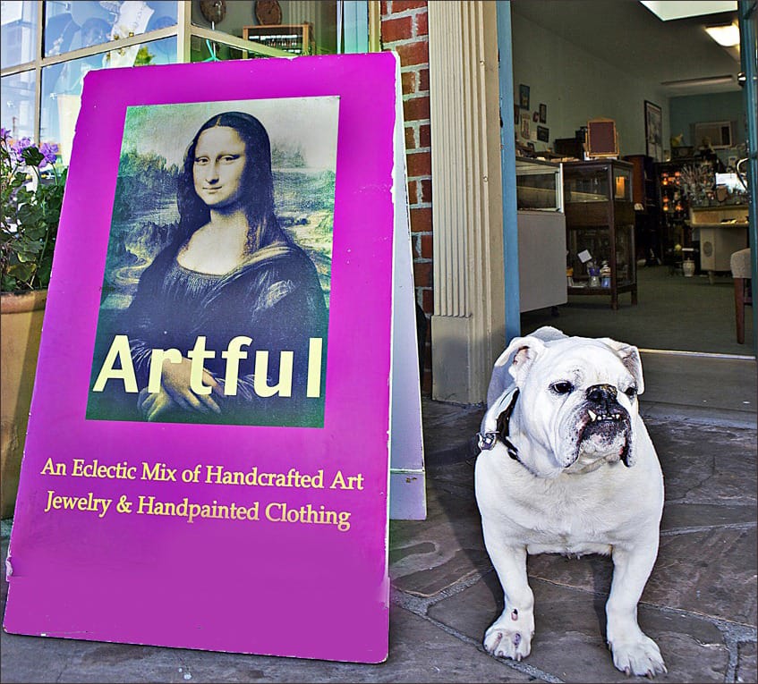 GOOD DOG: Yes, we accept Visa: Alice also says 'We accept doggie treats, too.'  (Photo courtesy Matthew Hynes )