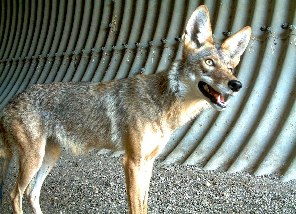 Photo courtesy National Parks Service