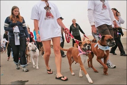 7390A7PNG1A6B7EF.lg 7390A7PNG1A6B7EF.lg