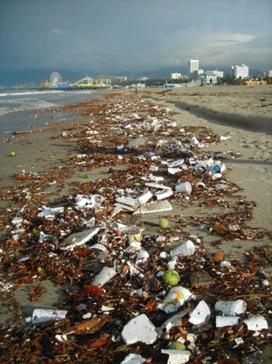 Trash that washed ashore on the Santa Monica Beach this weekend thanks to the recent rain storms. (Photo courtesy Heal the Bay)