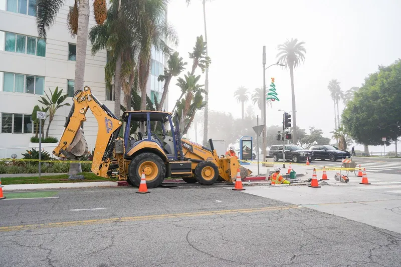 3- Tree Pruning and planting