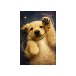 Henry Stardust