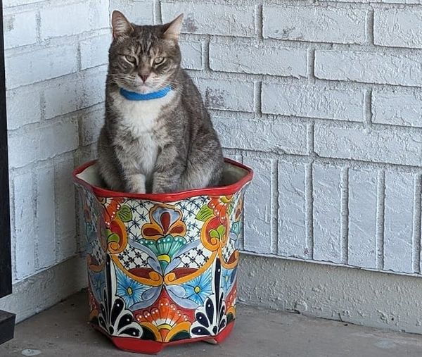 The 10-Year Homecoming: Jess is Finally Back!