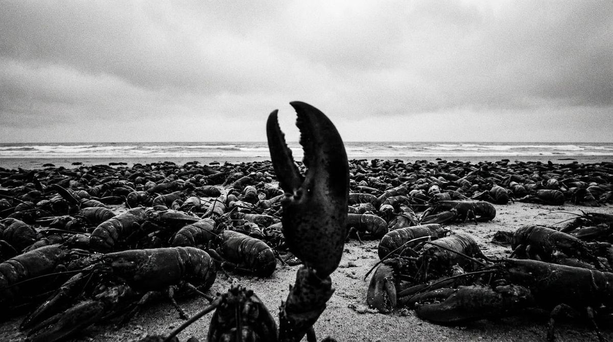 You banned OpenClaw. Now make it your training program for agentic AI.