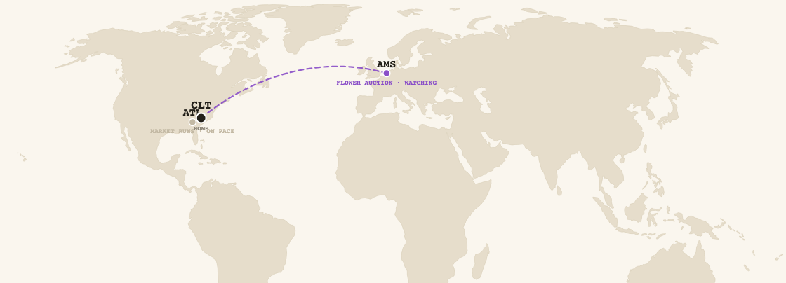 First Officer route network
