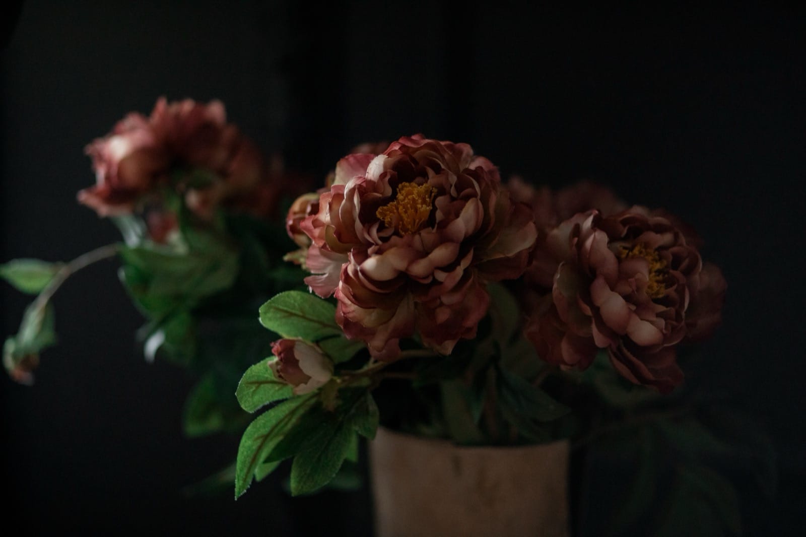 Dusky peonies in low light, a dark floral still-life