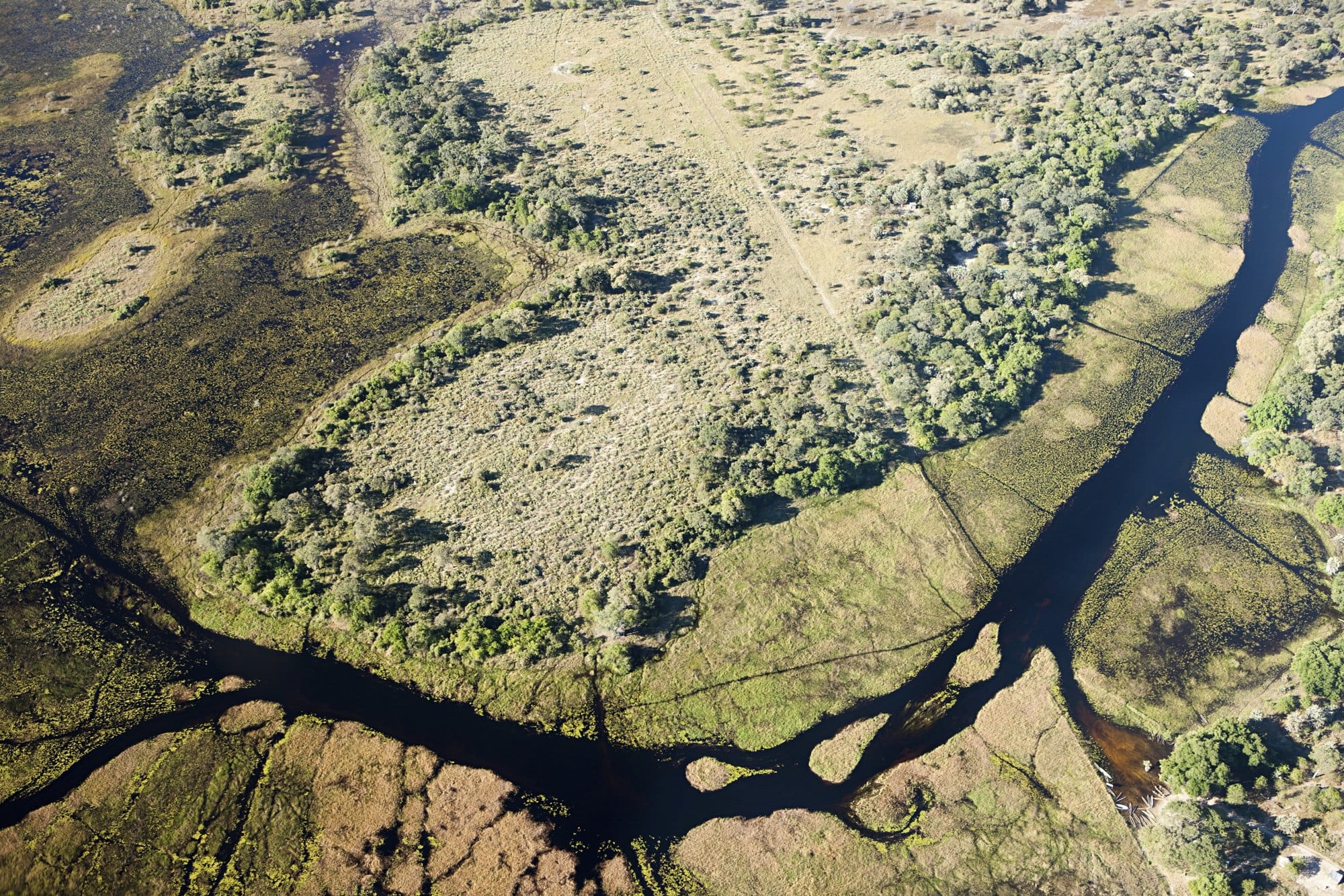 Aerial view of the Okavango Delta outside of Maun, Botswana