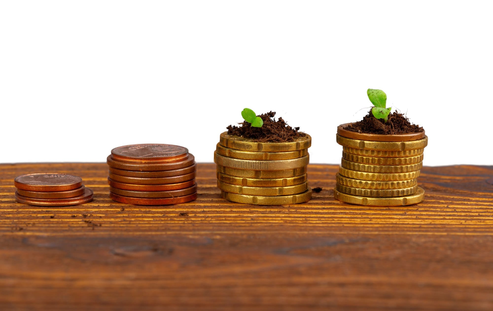 Coins stack of money and growing plant, financial concept