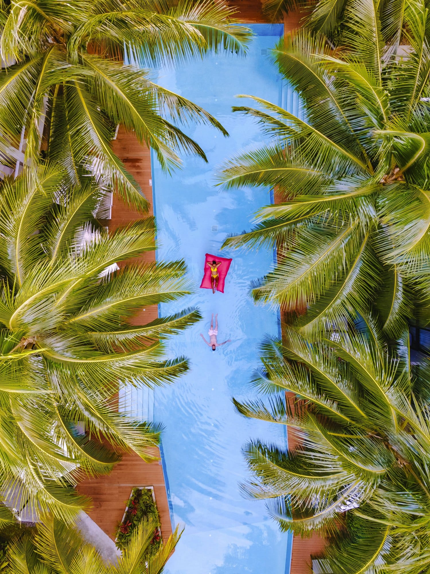 Drone view at swimming pool with palm trees, couple men and women in swimming pool