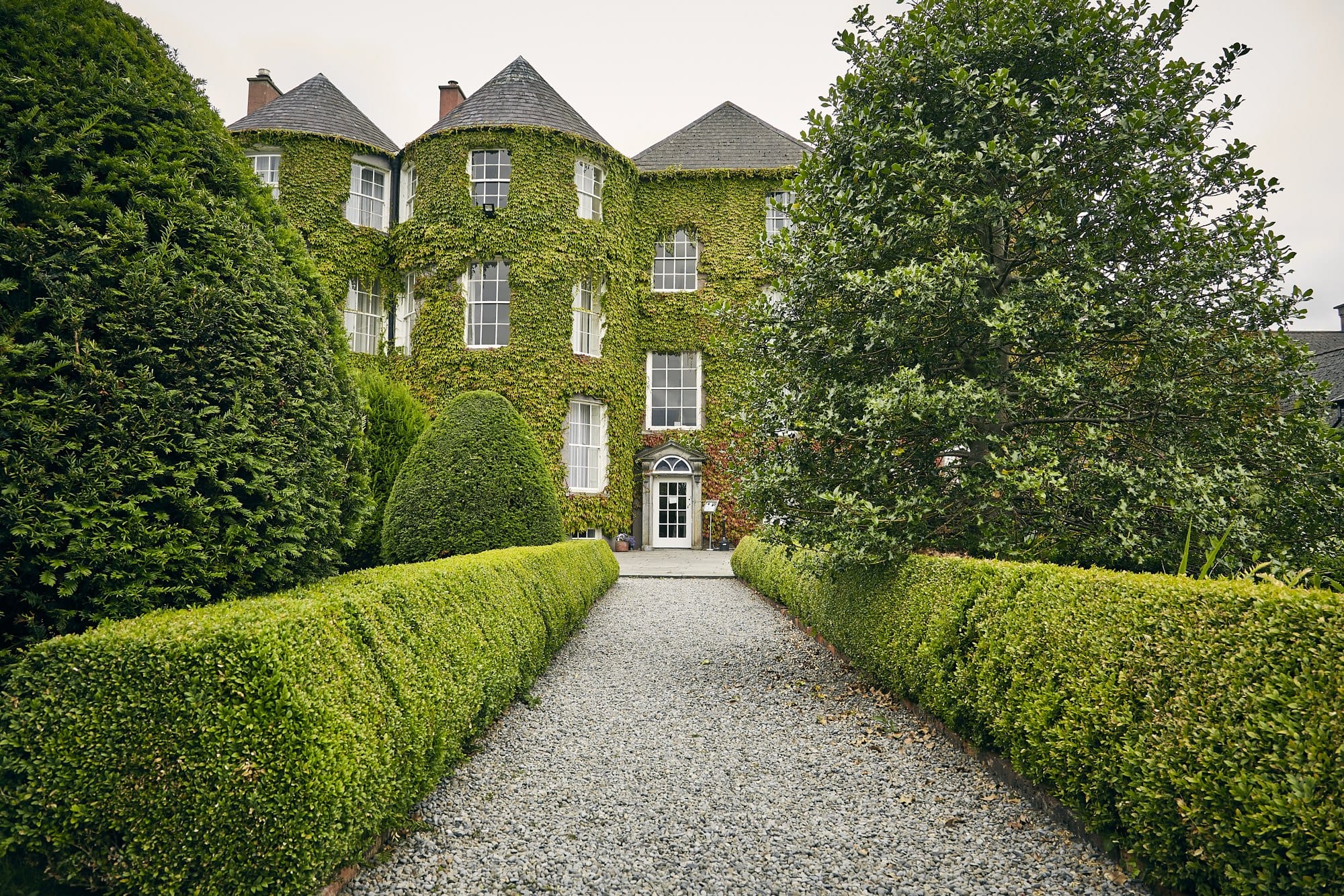 Ivy Covered Building Along a Stone Path