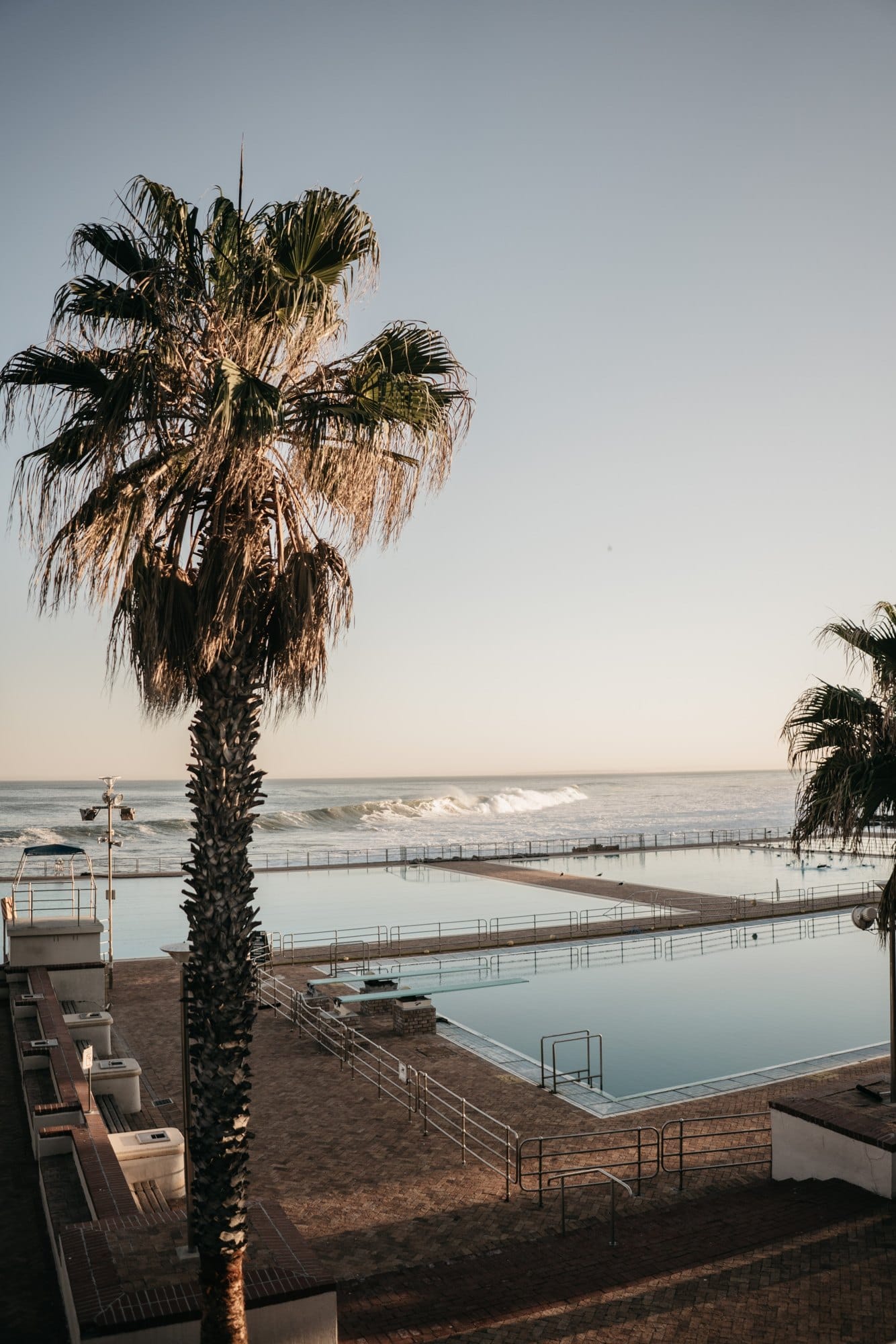 Ocean Pool with Palm Trees on Sunny Day