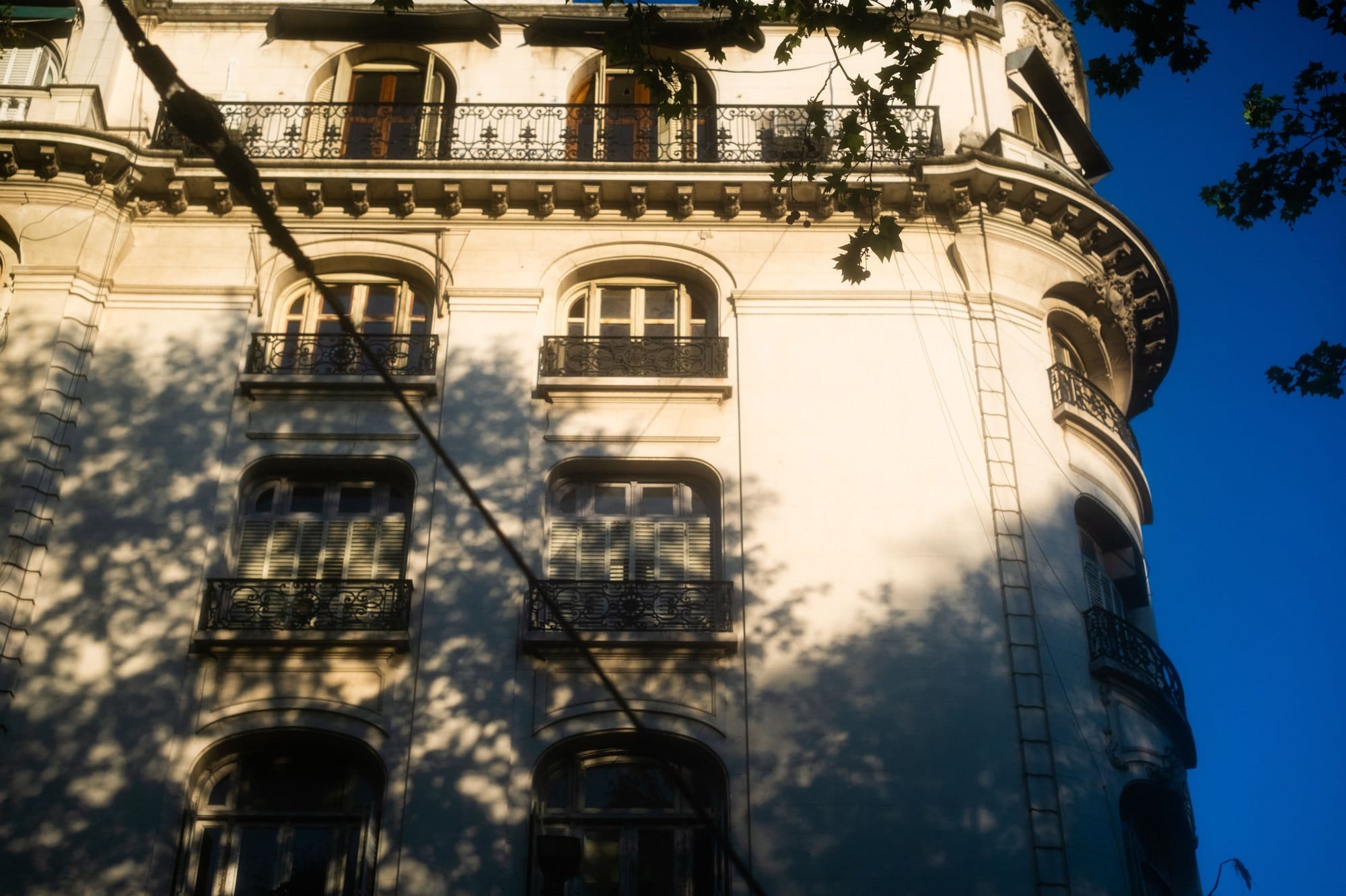 Ornate vintage building facade with tree shadows