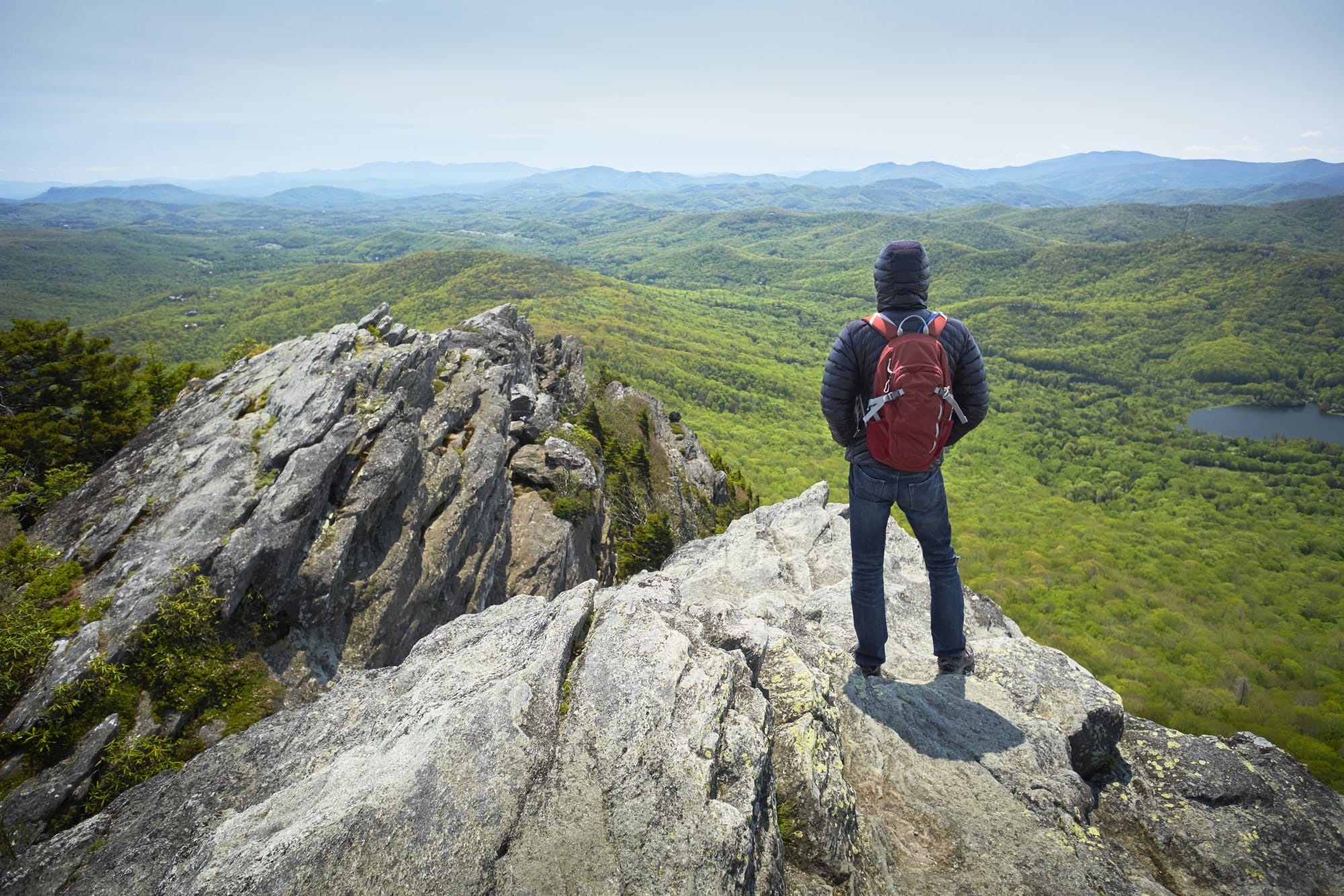 Rear view of male hiker looking out from ridge, Blue Ridge Mountains, North Carolina, USA