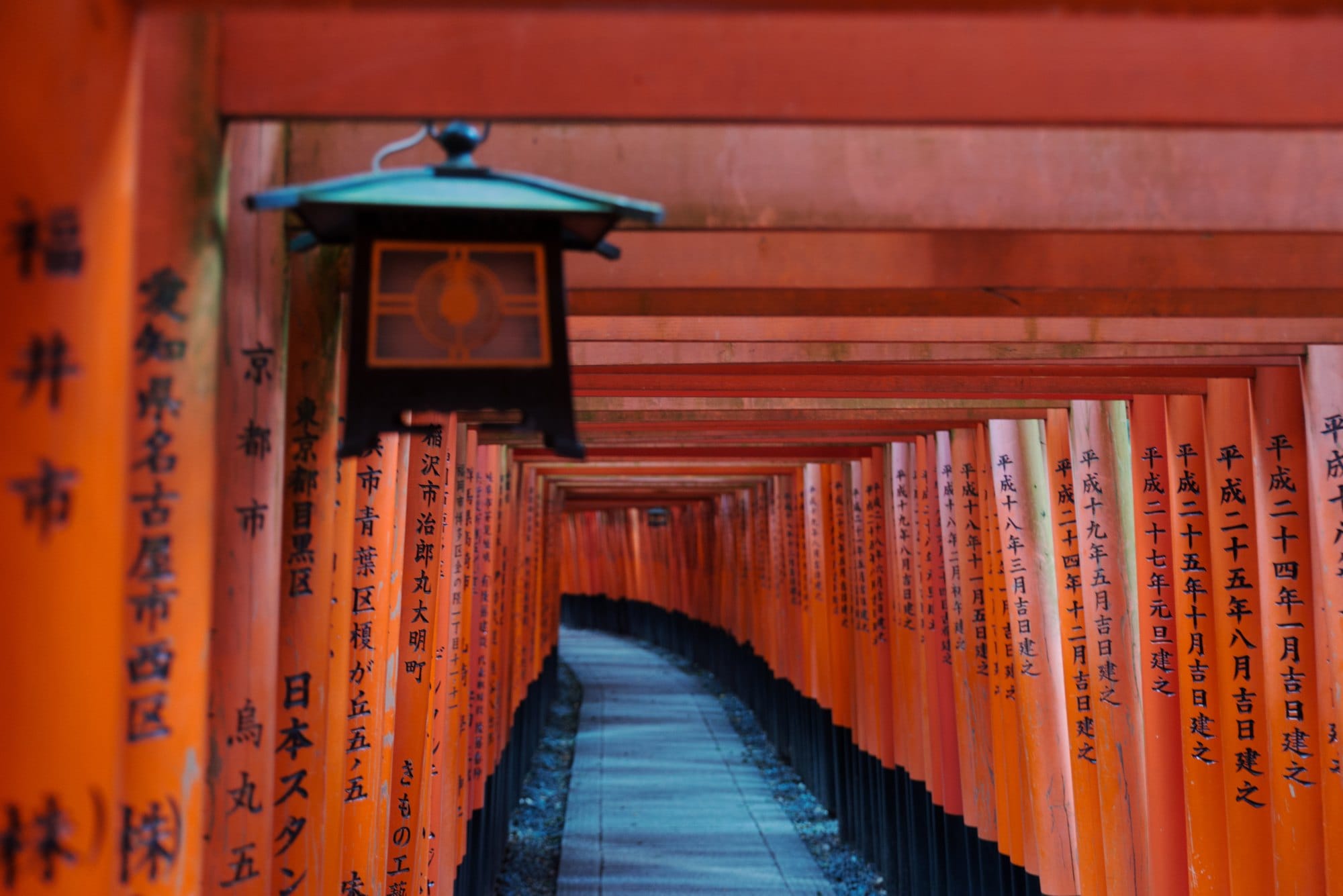 Red Torii of Fushimi Inari Shrine, Kyoto, Japan