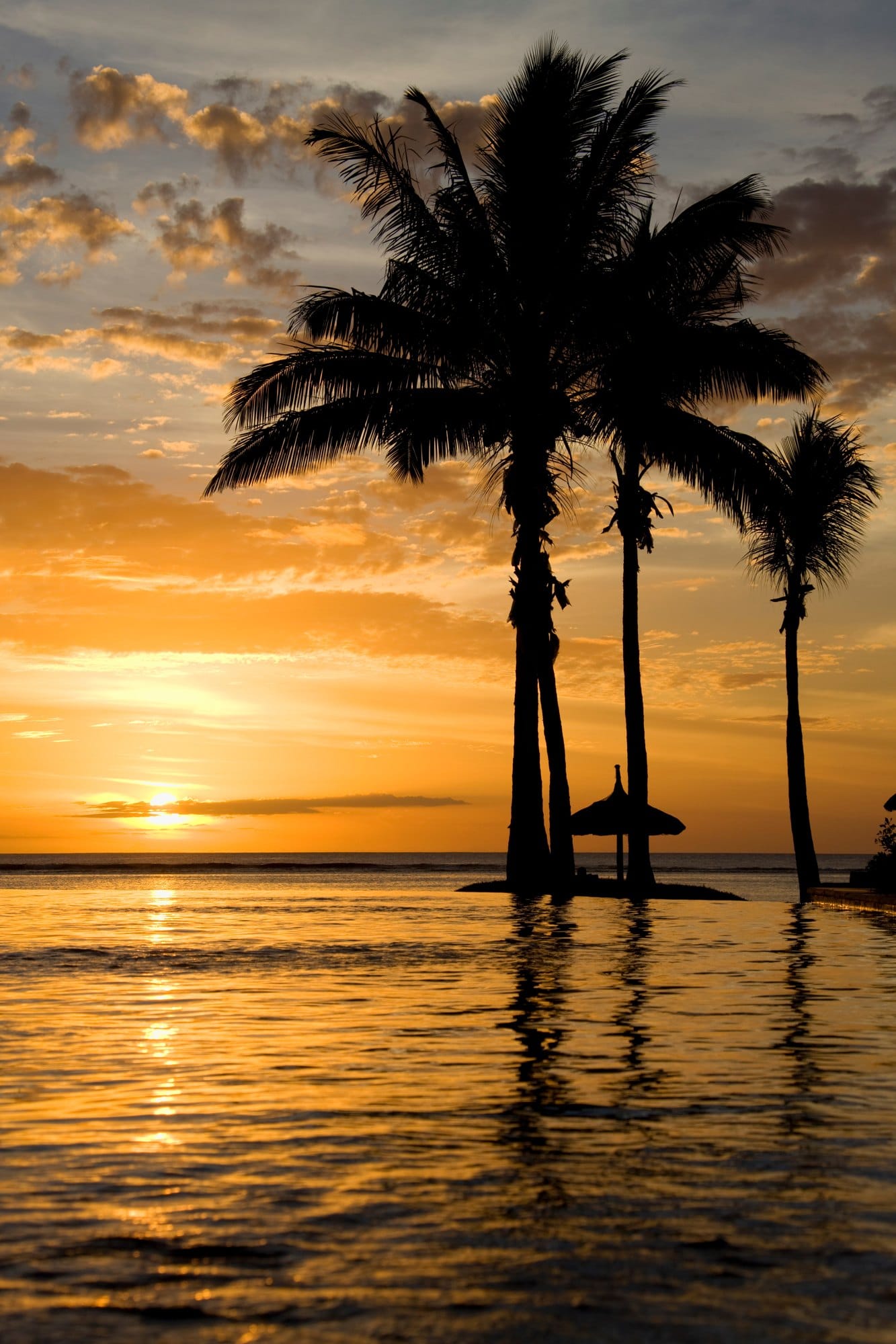 Sunset With Pool And Palm Trees