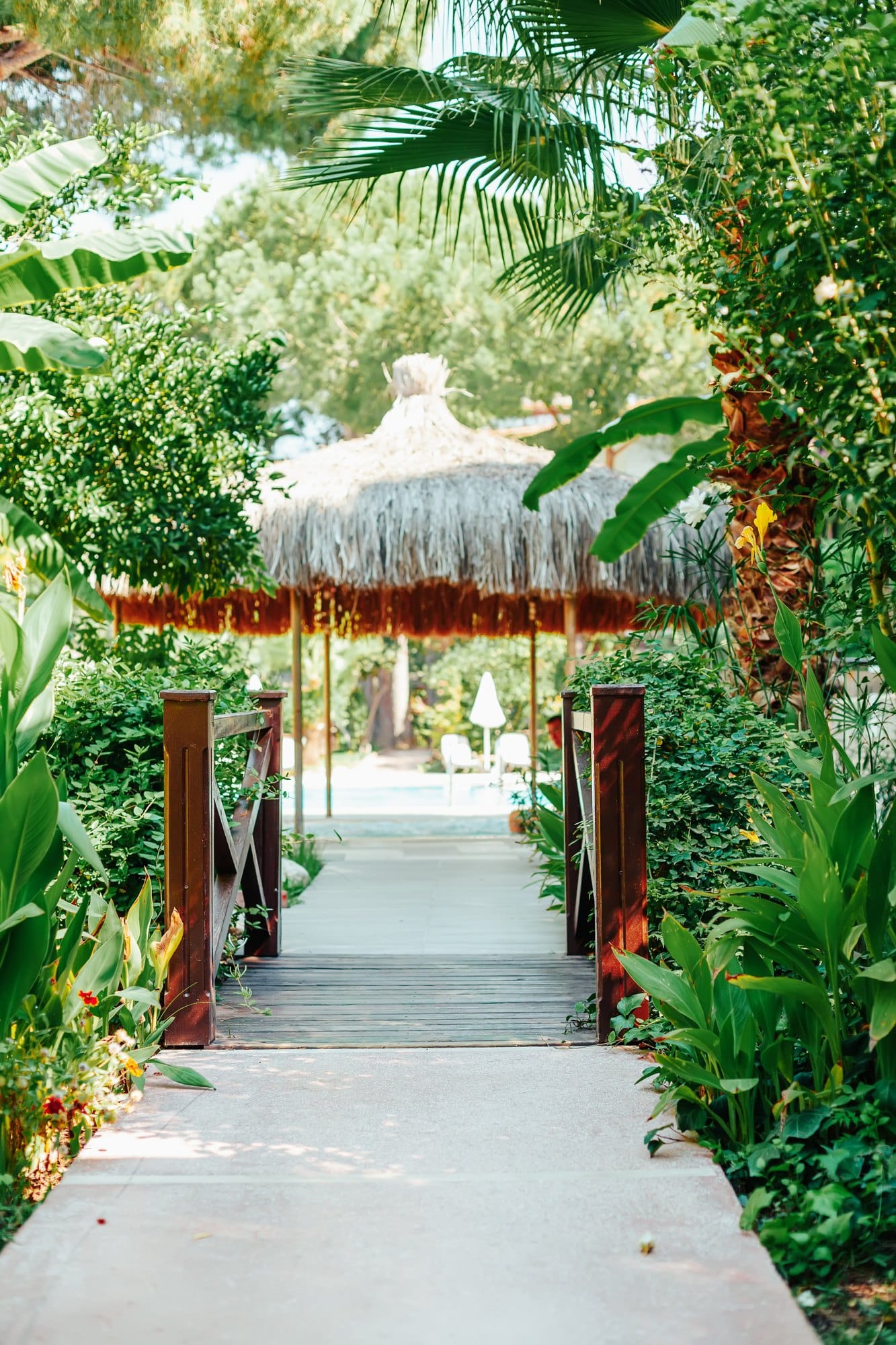 Tranquil Path to Poolside Relaxation, Tropical Landscape