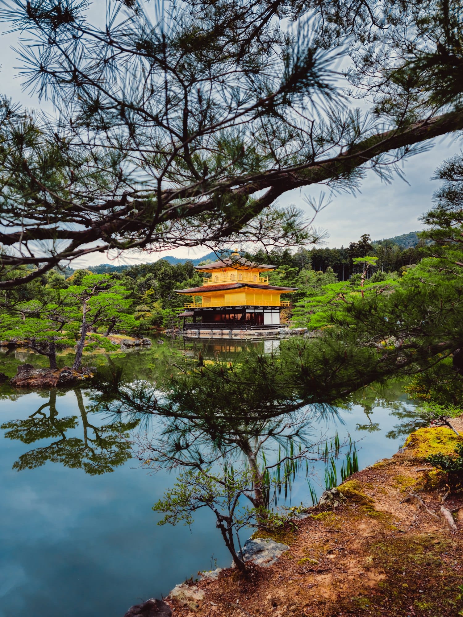 Tree Branches Covering The View Of A Yellow Pagoda