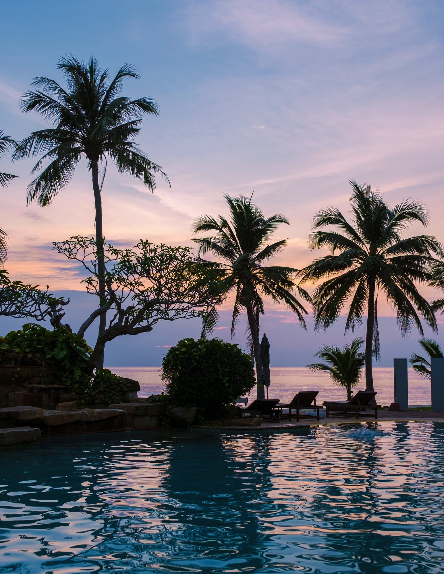 Tropical swimming pool with palm trees during sunset