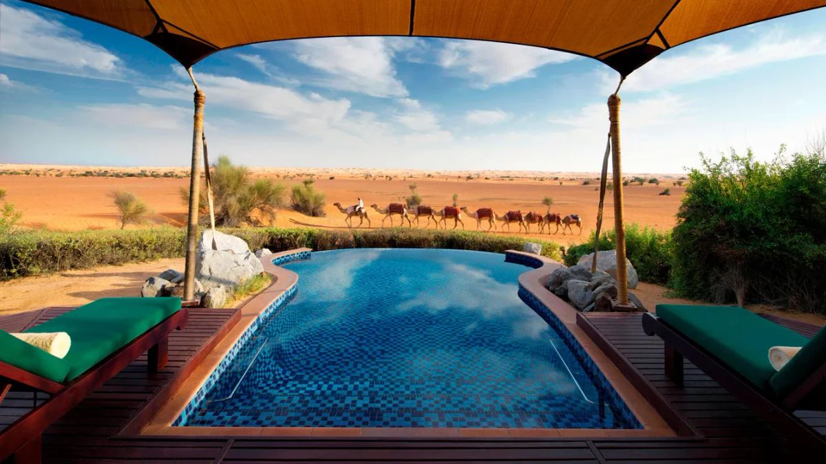 Camels passing by the tent at Al-Maha hotel outside Dubai, UAE