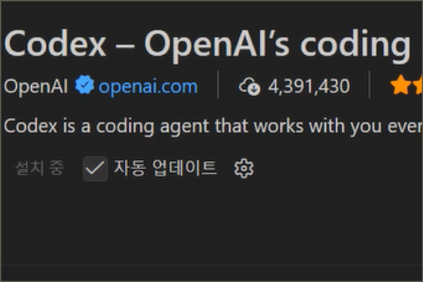 ChatGPT Pro 활용하기 codex